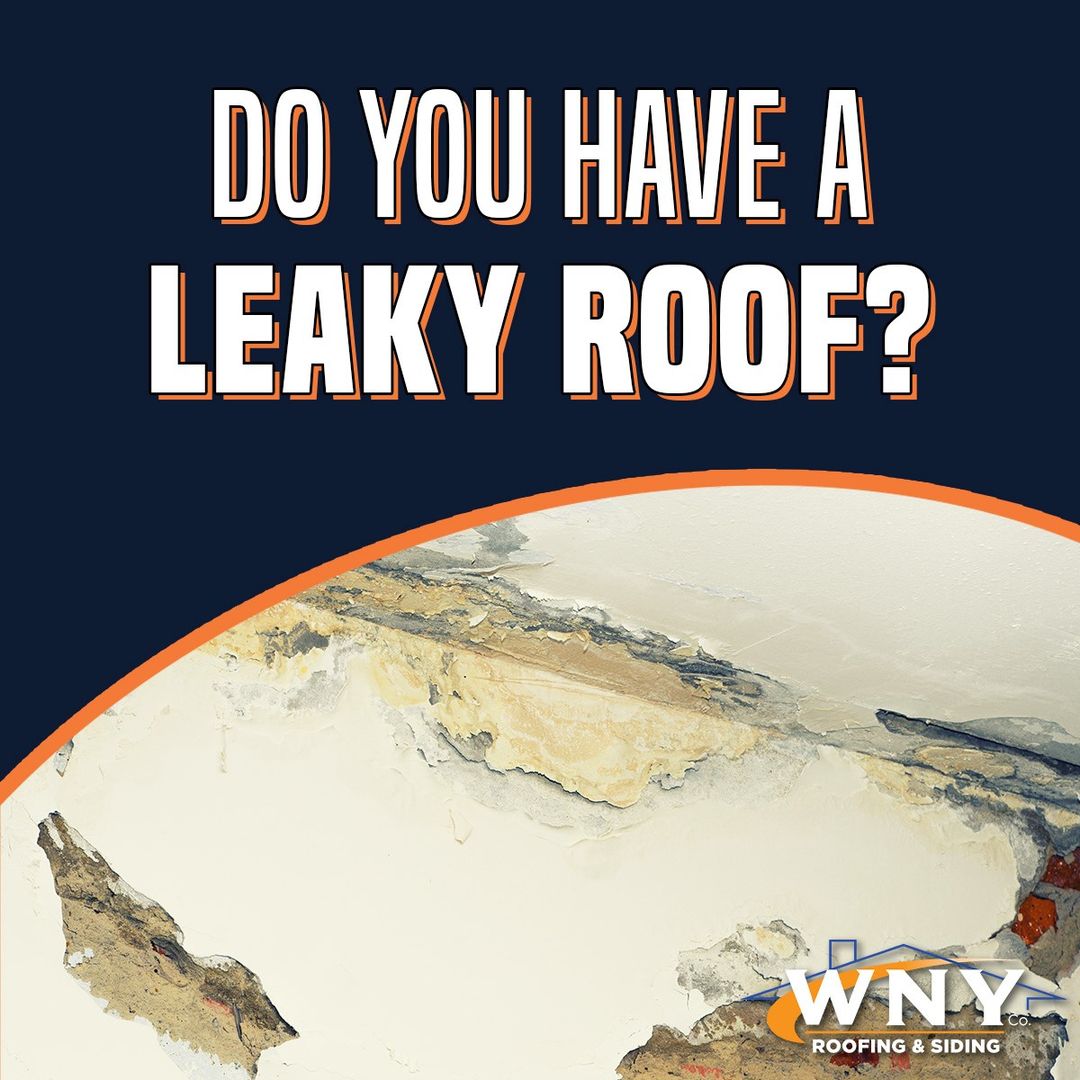 Who Can Fix A Leaky Roof