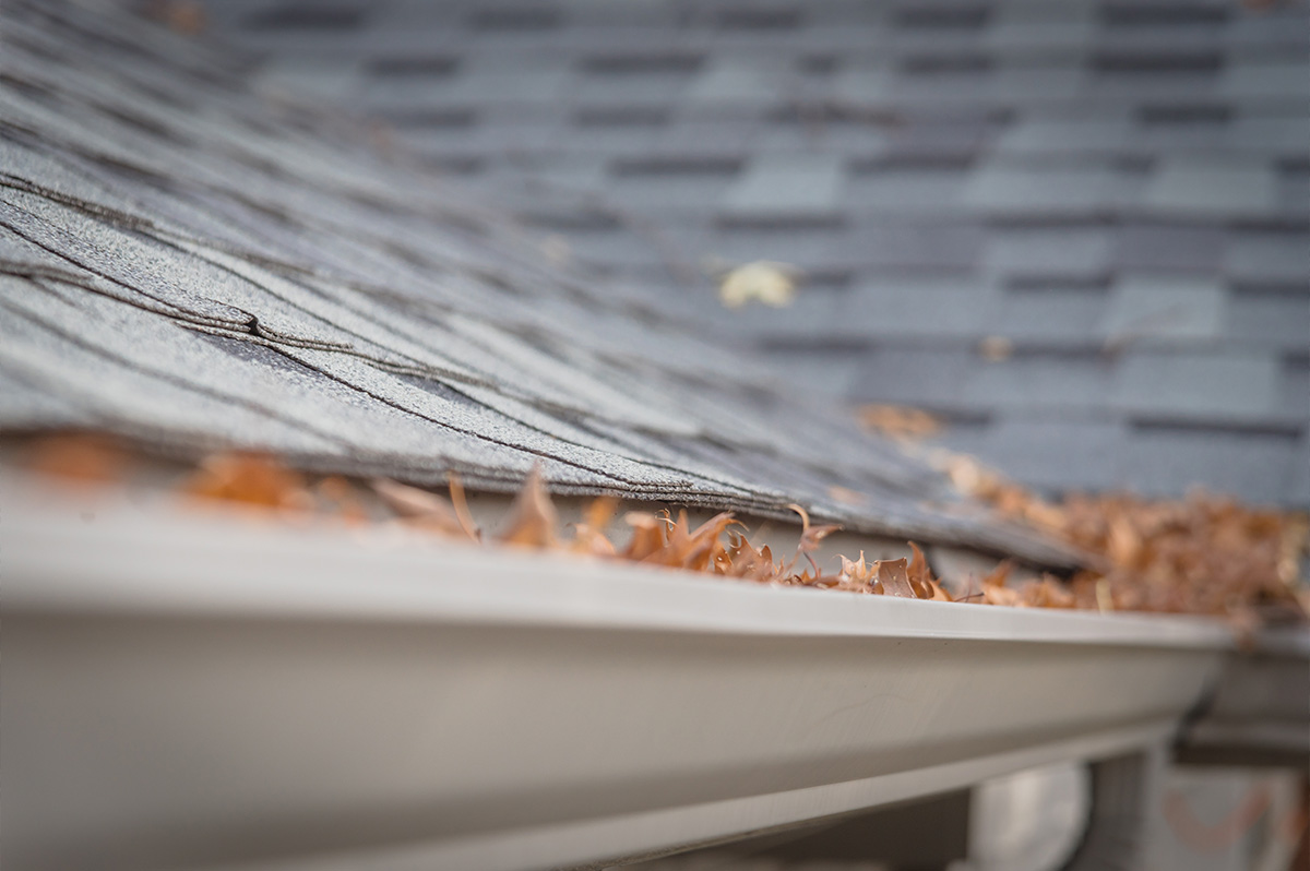 The Importance of Cleaning Gutters The WNY Company