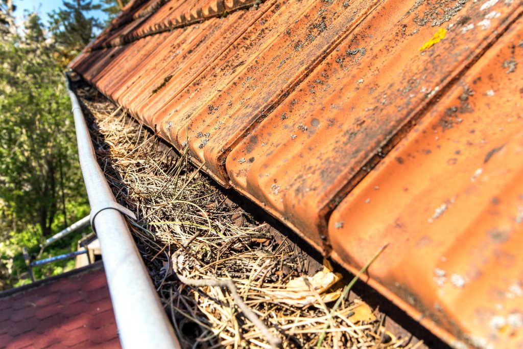 Tips for Maintaining your Gutters
