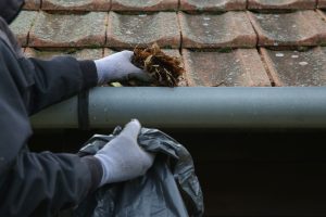 Clean out your gutters before Fall