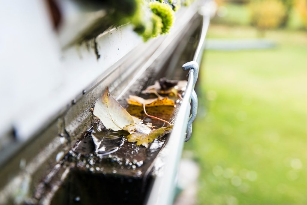 Common Roof Problems in Fall