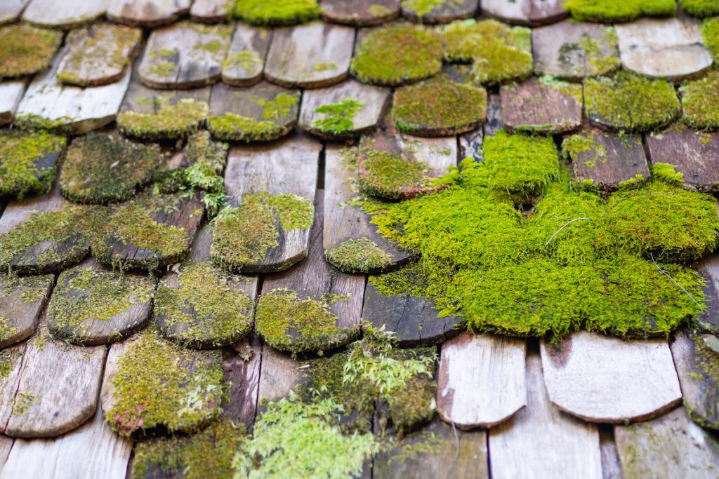 How To Treat Moss On Your Roof